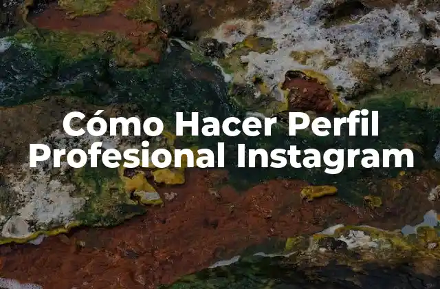 Cómo Hacer Perfil Profesional Instagram