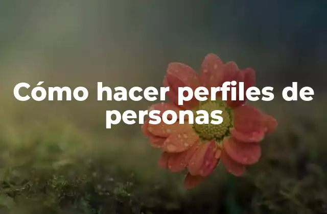 Cómo Hacer Perfiles de Personas