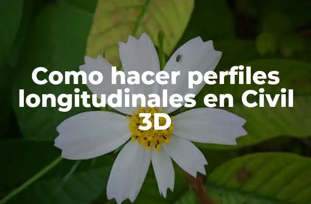 Como Hacer Perfiles Longitudinales en Civil 3d