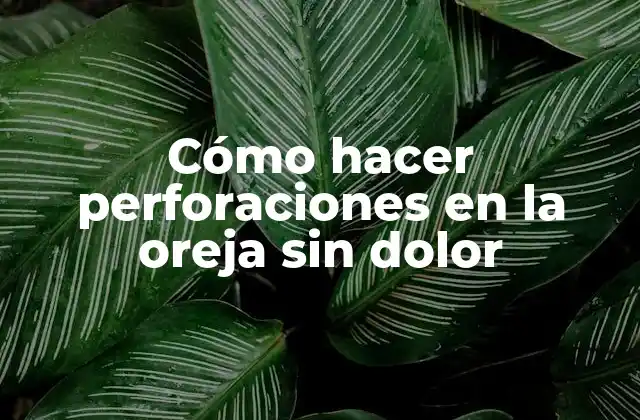 Cómo Hacer Perforaciones en la Oreja sin Dolor 2 Cómo hacer perforaciones en la oreja sin dolor