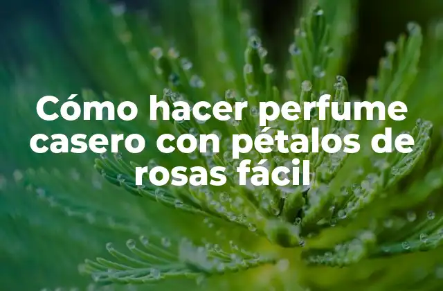 Cómo Hacer Perfume Casero con Pétalos de Rosas Fácil 2 Cómo hacer perfume casero con pétalos de rosas