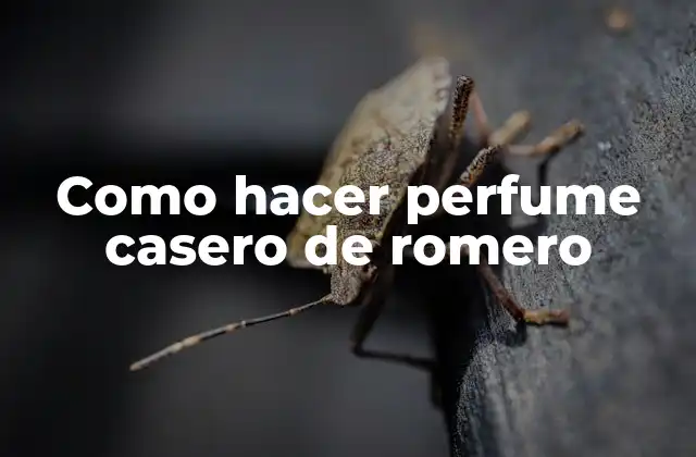 Como Hacer Perfume Casero de Romero