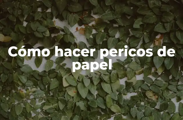 Cómo Hacer Pericos de Papel 2 Cómo hacer pericos de papel