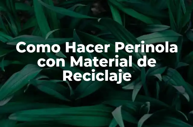 Como Hacer Perinola con Material de Reciclaje