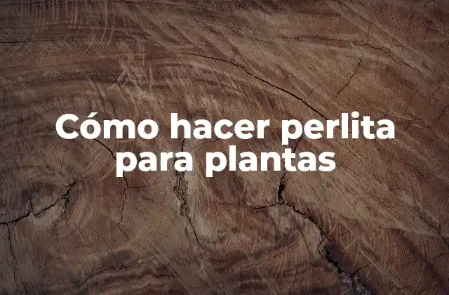 Cómo Hacer Perlita para Plantas