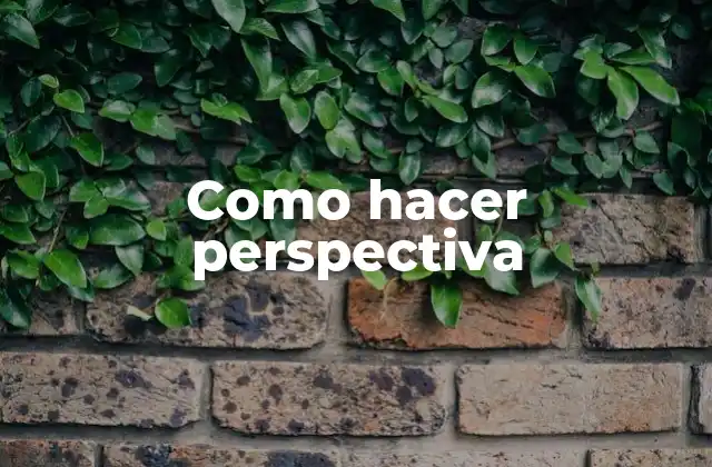 Como Hacer Perspectiva 2 Perspectiva