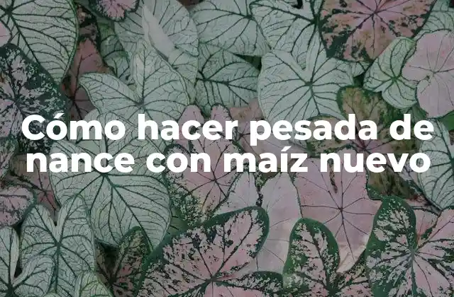 Cómo Hacer Pesada de Nance con Maíz Nuevo