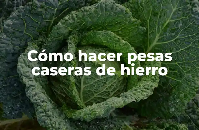 Cómo Hacer Pesas Caseras de Hierro