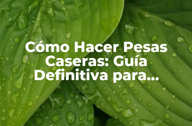Cómo Hacer Pesas Caseras: Guía Definitiva para Entrenar en Casa