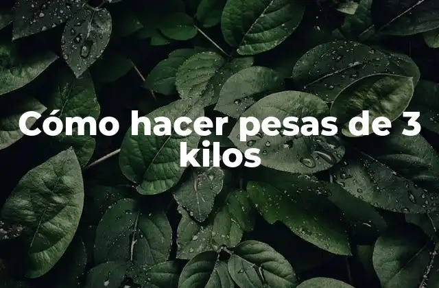 Cómo Hacer Pesas de 3 Kilos