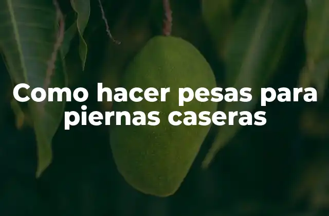 Como Hacer Pesas para Piernas Caseras