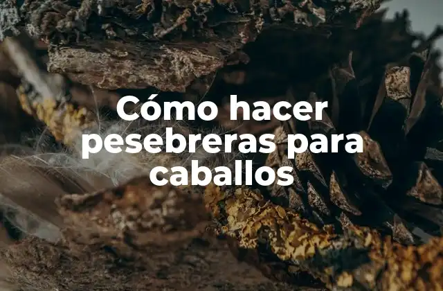 Cómo Hacer Pesebreras para Caballos