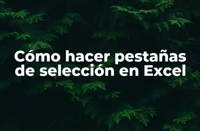 Cómo Hacer Pestañas de Selección en Excel