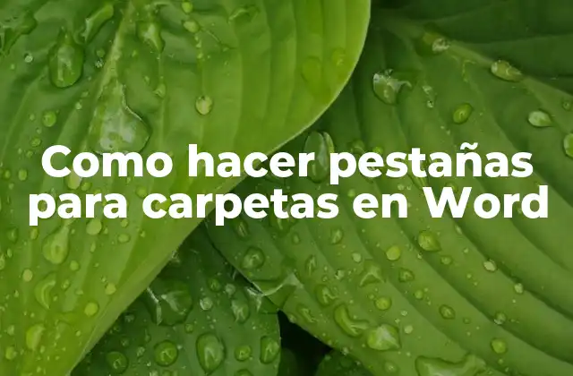 Como Hacer Pestañas para Carpetas en Word