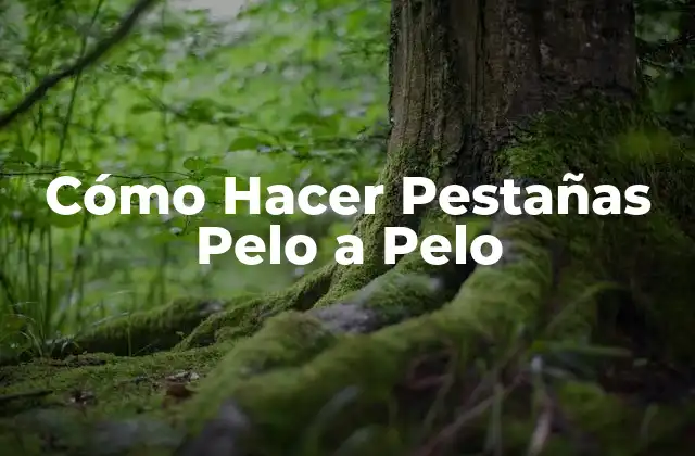 Cómo Hacer Pestañas Pelo a Pelo