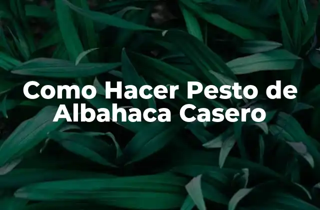 Como Hacer Pesto de Albahaca Casero