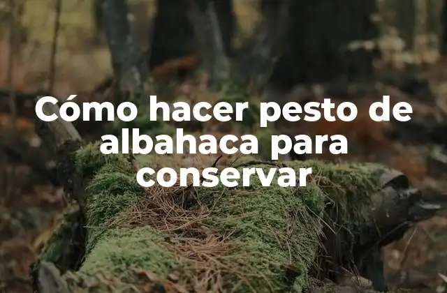 Cómo Hacer Pesto de Albahaca para Conservar