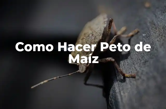 Como Hacer Peto de Maíz
