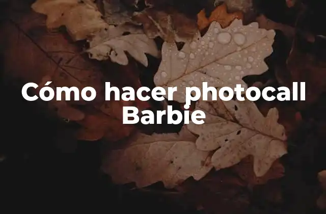 Cómo Hacer Photocall Barbie