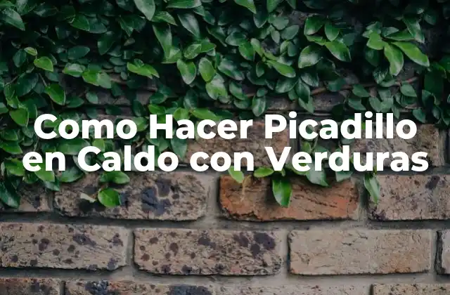 Como Hacer Picadillo en Caldo con Verduras