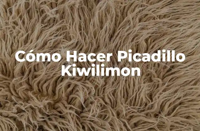 Cómo Hacer Picadillo Kiwilimon