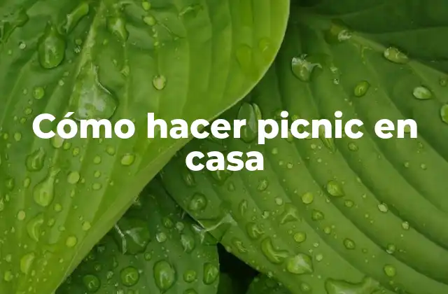 Cómo hacer picnic en casa