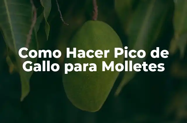 Como Hacer Pico de Gallo para Molletes