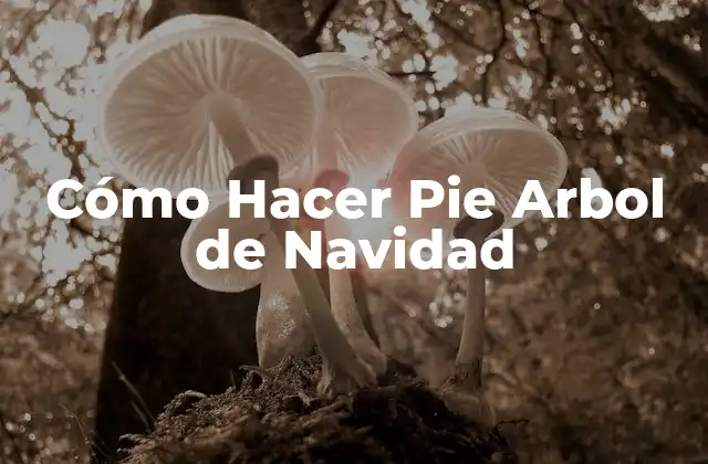 Cómo Hacer Pie Arbol de Navidad