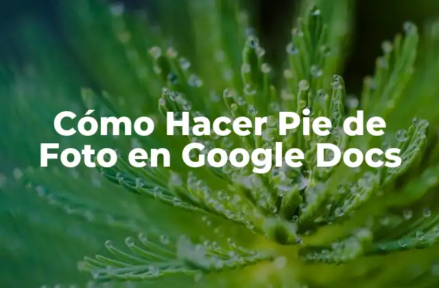 Cómo Hacer Pie de Foto en Google Docs