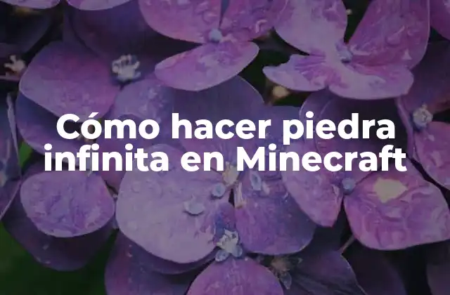 Cómo Hacer Piedra Infinita en Minecraft