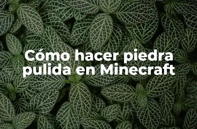 Cómo Hacer Piedra Pulida en Minecraft