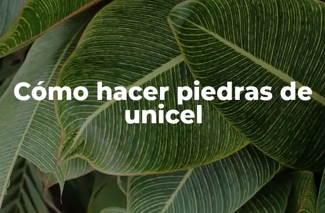 Cómo Hacer Piedras de Unicel