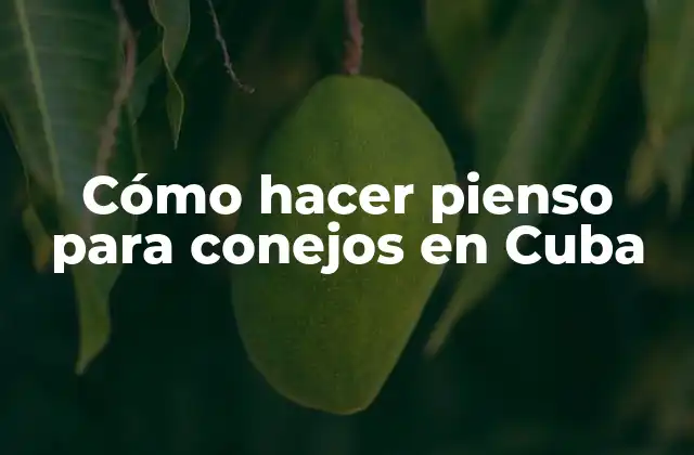 Cómo Hacer Pienso para Conejos en Cuba