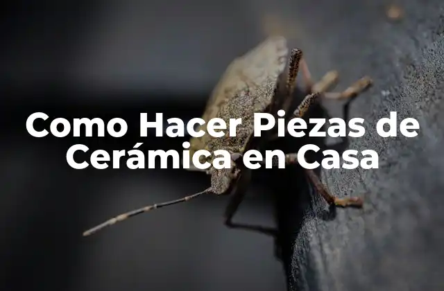 Como Hacer Piezas de Cerámica en Casa
