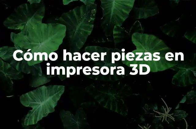 Cómo Hacer Piezas en Impresora 3d