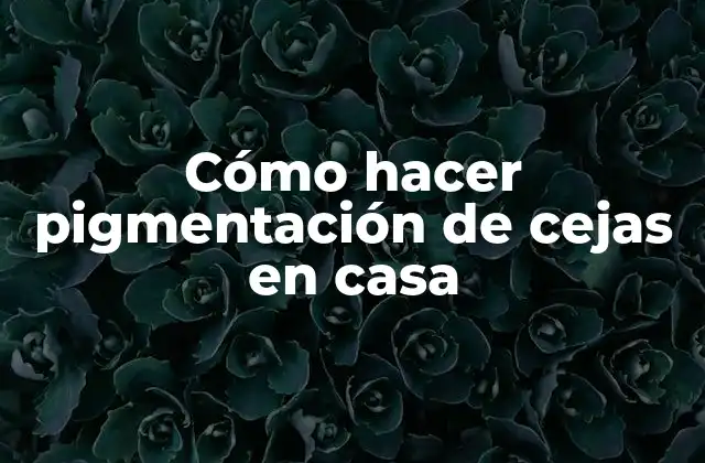 Cómo Hacer Pigmentación de Cejas en Casa