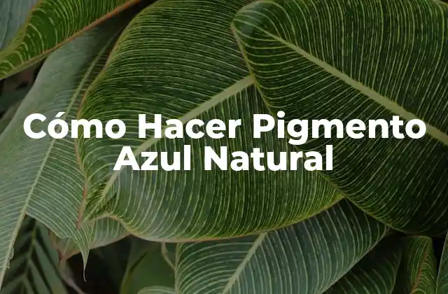 Cómo Hacer Pigmento Azul Natural