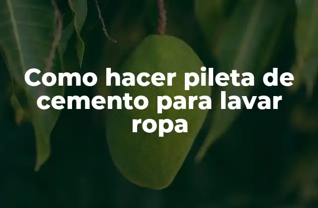 Como Hacer Pileta de Cemento para Lavar Ropa