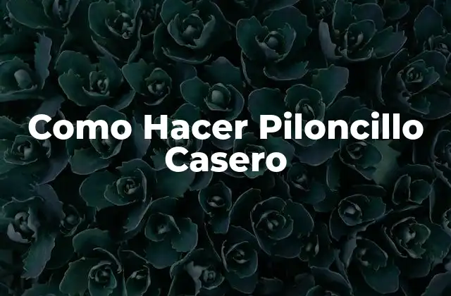 Como Hacer Piloncillo Casero 2 ¿Qué es Piloncillo Casero?