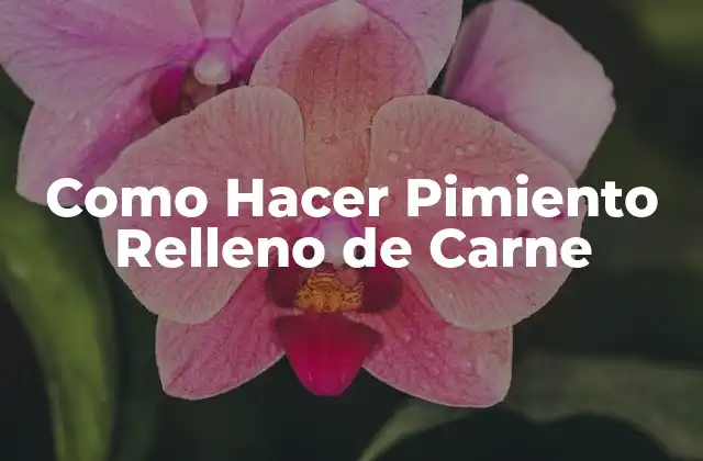 Como Hacer Pimiento Relleno de Carne