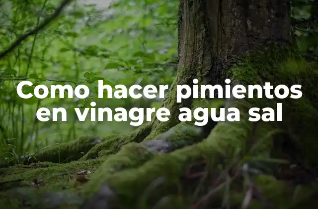 Como Hacer Pimientos en Vinagre Agua Sal