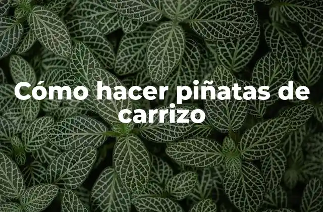 Cómo Hacer Piñatas de Carrizo