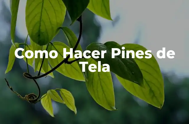 ¿Qué son los Pines de Tela y para Qué Sirven?
