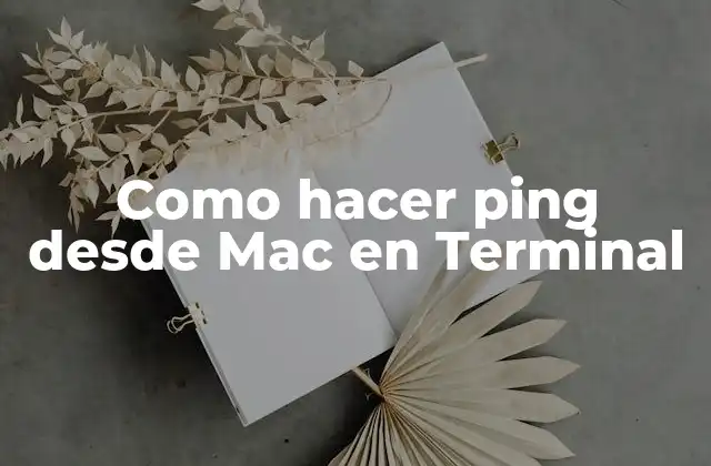 Como Hacer Ping desde Mac en Terminal