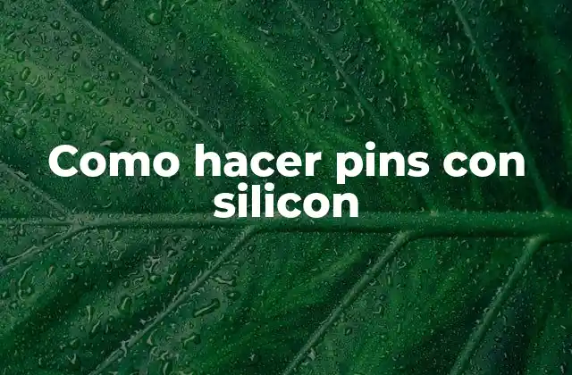 Como hacer pins con silicon: qué es y para qué sirve
