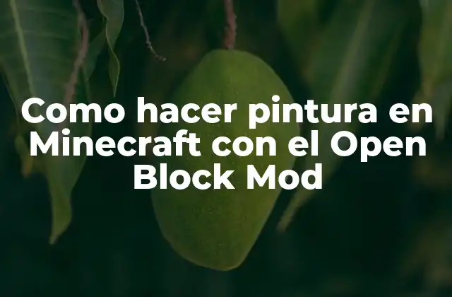 Como Hacer Pintura en Minecraft con el Open Block Mod