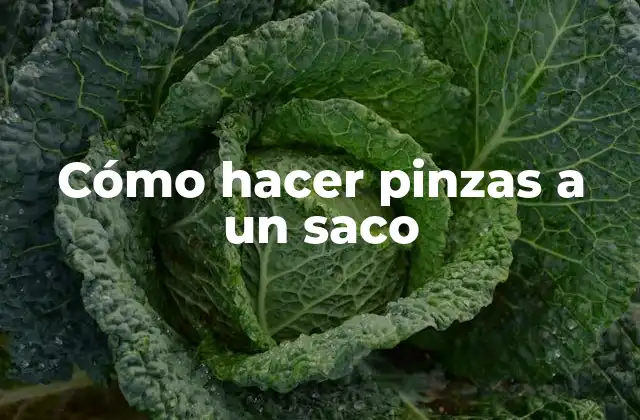Cómo Hacer Pinzas a un Saco
