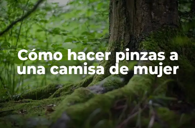 Cómo Hacer Pinzas a una Camisa de Mujer