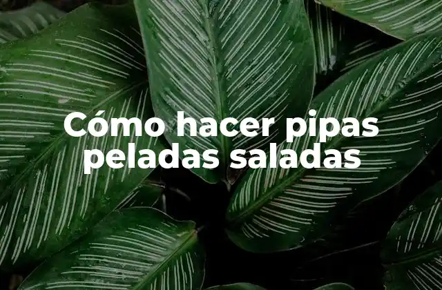 Cómo Hacer Pipas Peladas Saladas