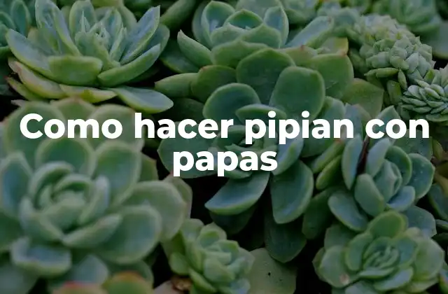 ¿Qué es el pipian con papas y para qué sirve?